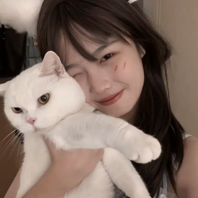 51网网址导航｜51漫画官网更新｜51爆料与51视频网站在线观看平台